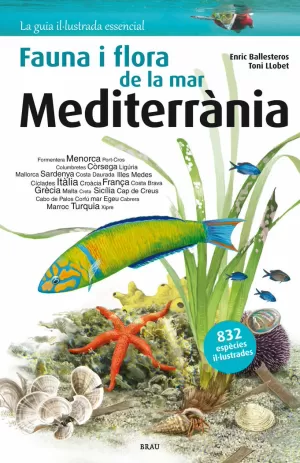 FAUNA I FLORA DE LA MAR MEDITERRÀNIA FAUNA I FLORA DE LA MAR MEDITERRÀNIA